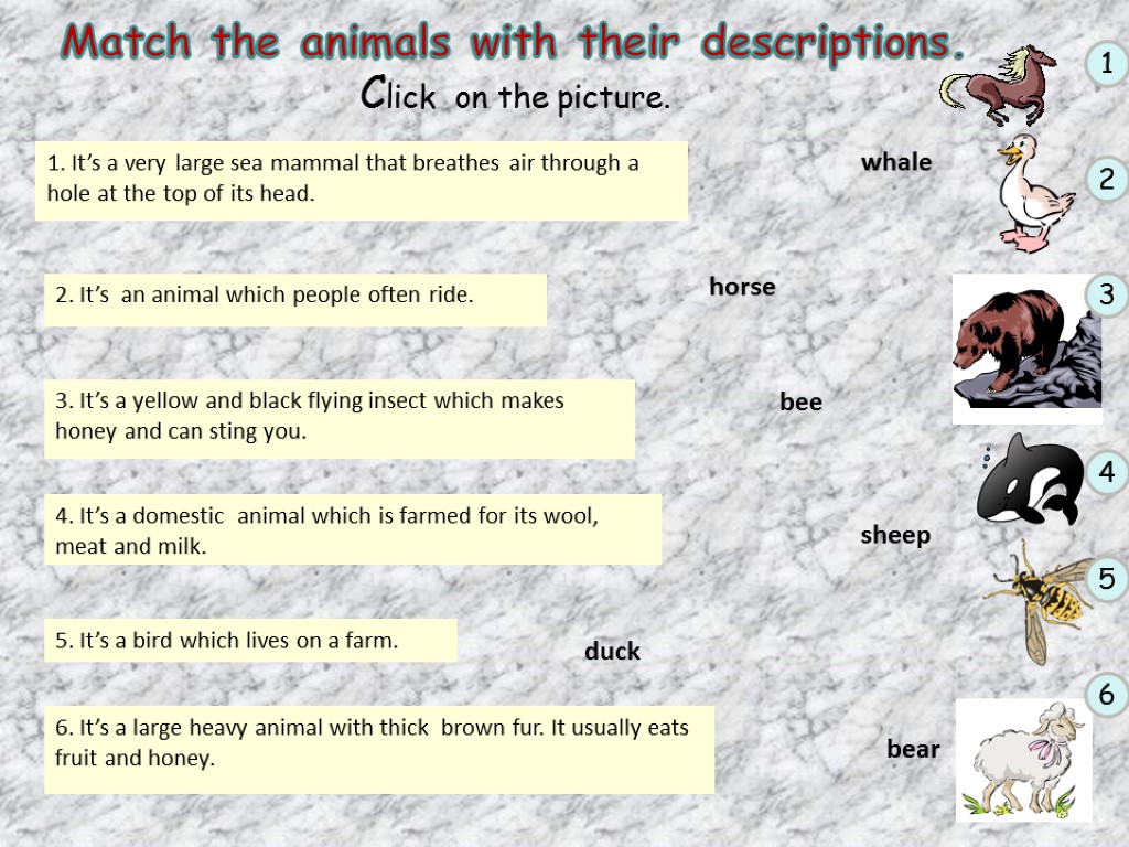 Match the animals with their descriptions. Click on the picture. 2. It’s an animal